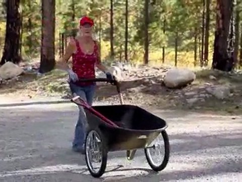 Chevrolet Jumpstarts Reforestation of San Juan National Forest