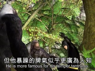 Christian Bale China stunt does more harm than good