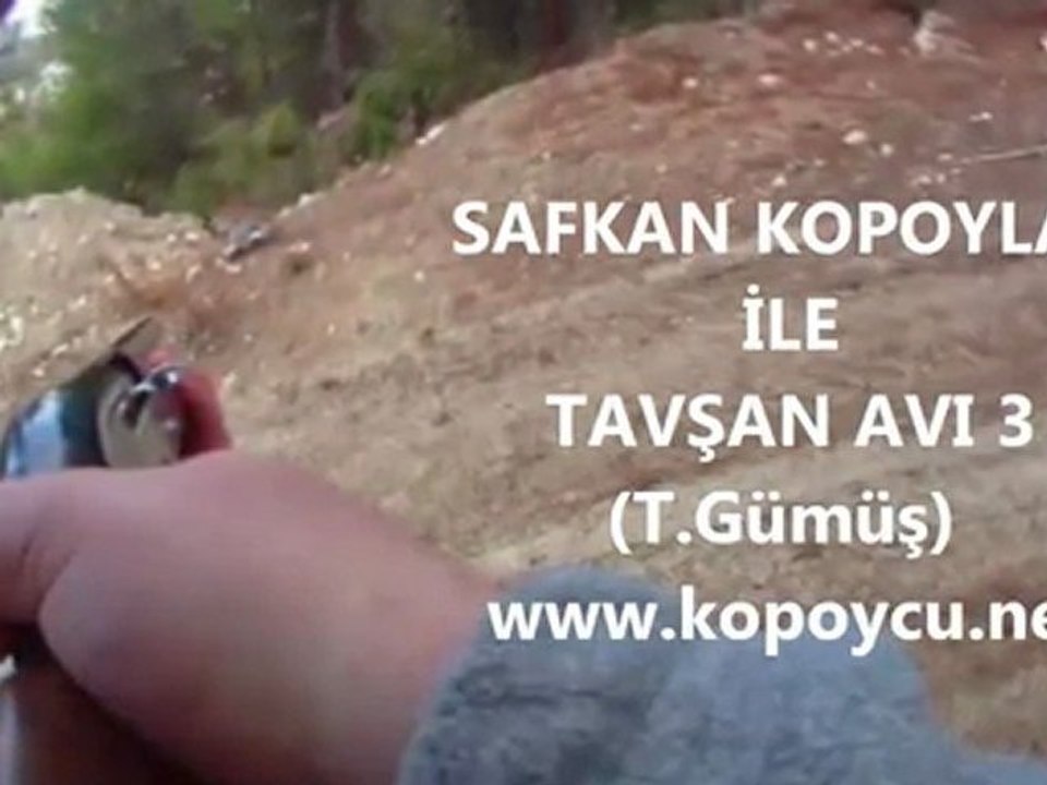 SAFKAN KOPOYLAR İLE TAVŞAN AVI 3 (T.Gümüş)  www.kopoycu.net
