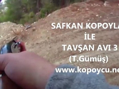 SAFKAN KOPOYLAR İLE TAVŞAN AVI 3 (T.Gümüş) kopoycu.net