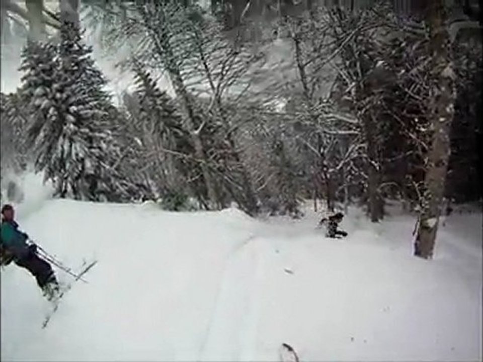 Parc aux moutons