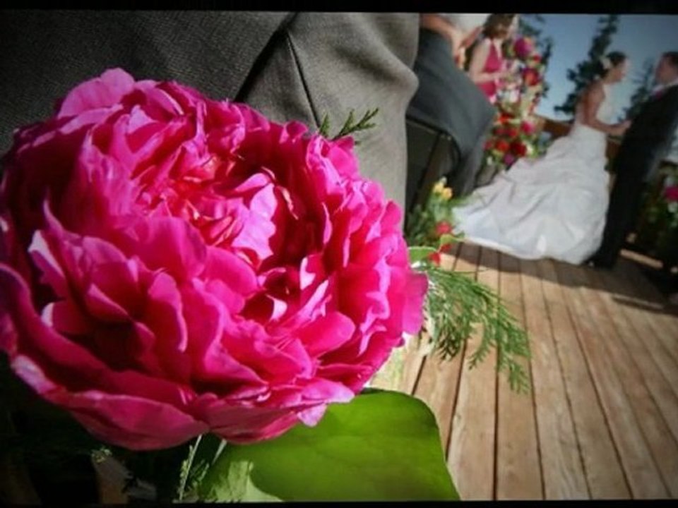 Wedding Photography