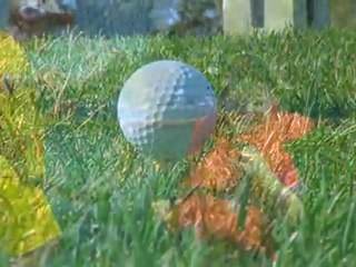 Gorgeous! RV Lots For Sale Washington State NWLANDS