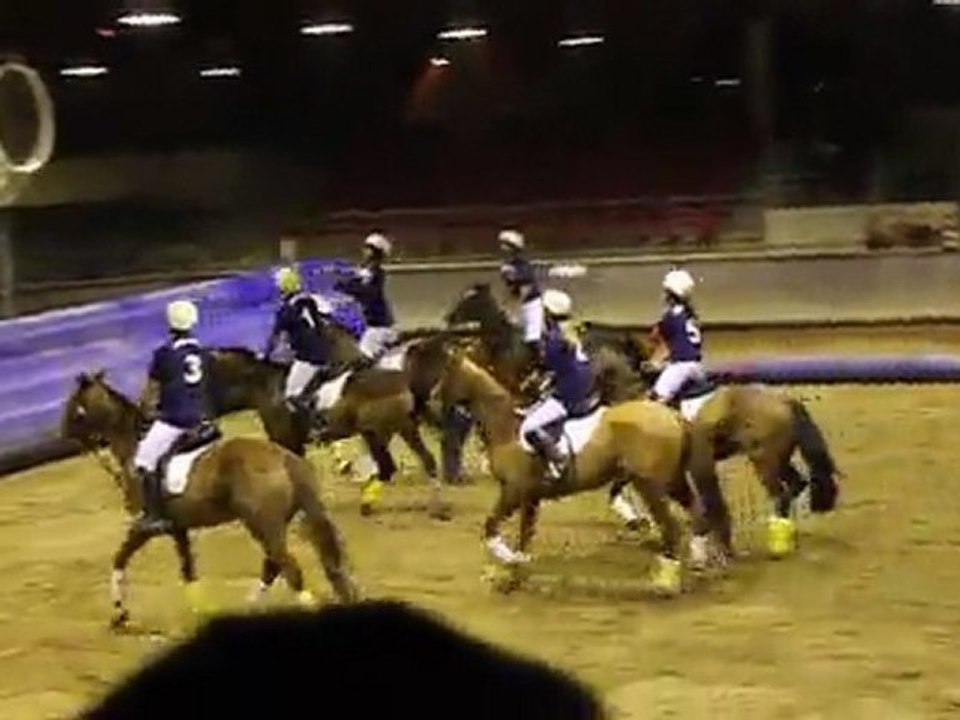 Horse Ball