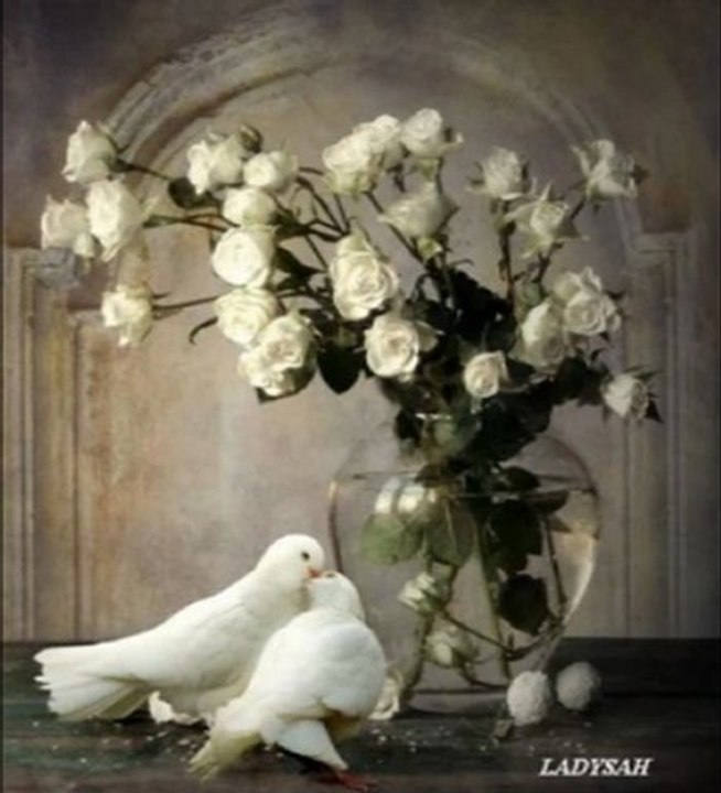 DELİ KIZIN ÜLKESİ- Erkan OĞUR- Bülbülüm Altın Kafeste