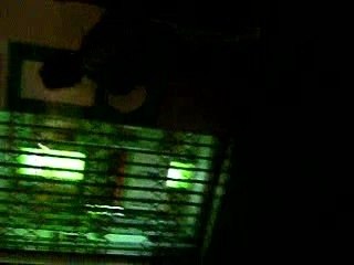 LUIS AND FRAN STREET LJ