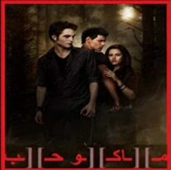 واوي بغداد - مستر ضرغام - ماكو حب 2011