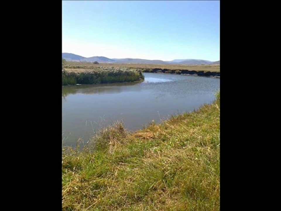 süper kürtçe müzikler ardahan göle hozan dino @ MEHMET ALİ ARSLAN Videos