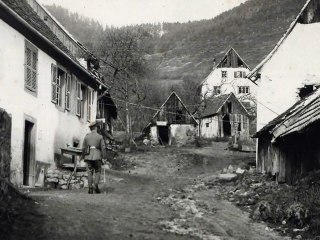 Terre meurtrie III - la vallée de Munster durant la Grande Guerre