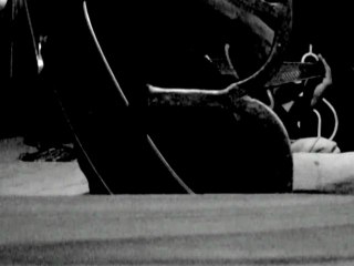 Monkey Skull song teaser....