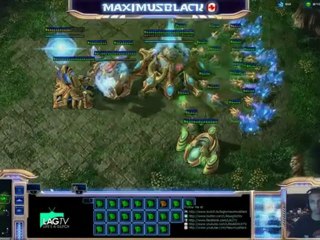 Comment taunt sur StarCraft II ?