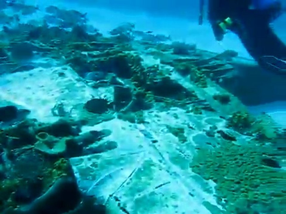 Science Without Borders® Discovers Downed Pilot's Nightmare