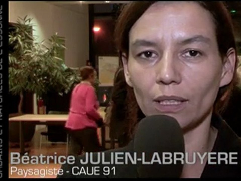 Guide des paysages de l'Essonne: Béatrice Julien-Labruyere