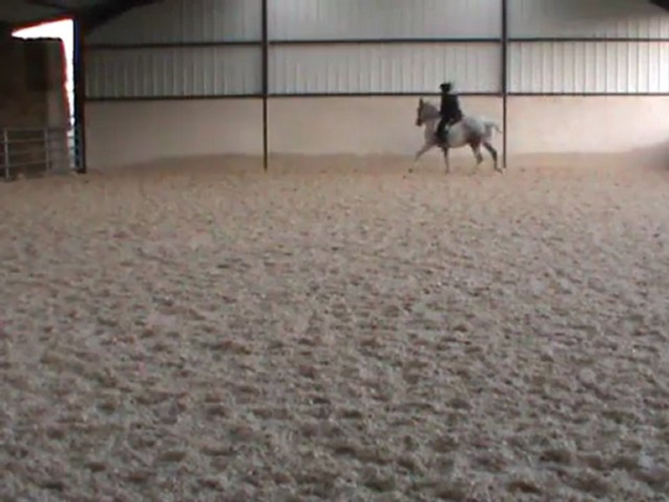 appuyer d au galop et bug avec changement de pied 11.01.12