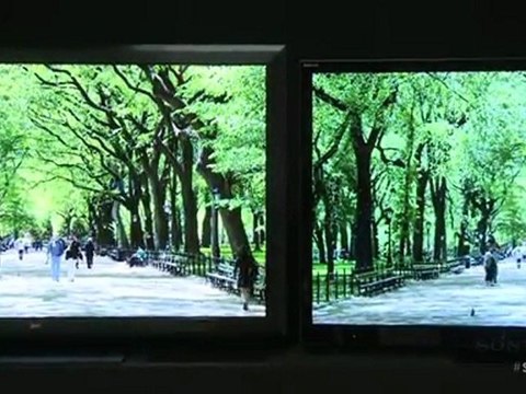 Sony Crystal LED Display at CES 2012