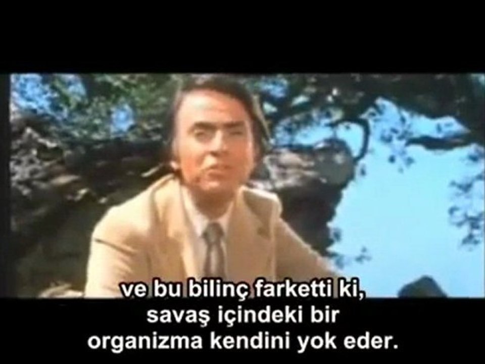 Sadece bir gezinti