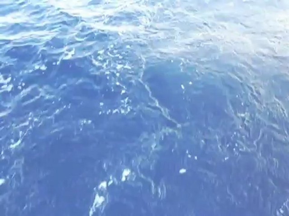 28-29/12/2011 KUŞADASI DAR BOĞAZ BALIK AVI