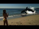 Sand Sharks Part 1 / 13 Full HD