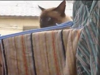 Réfléchir avant de sauter...