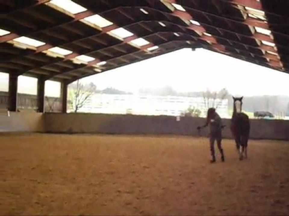 voltee travaila pied manege