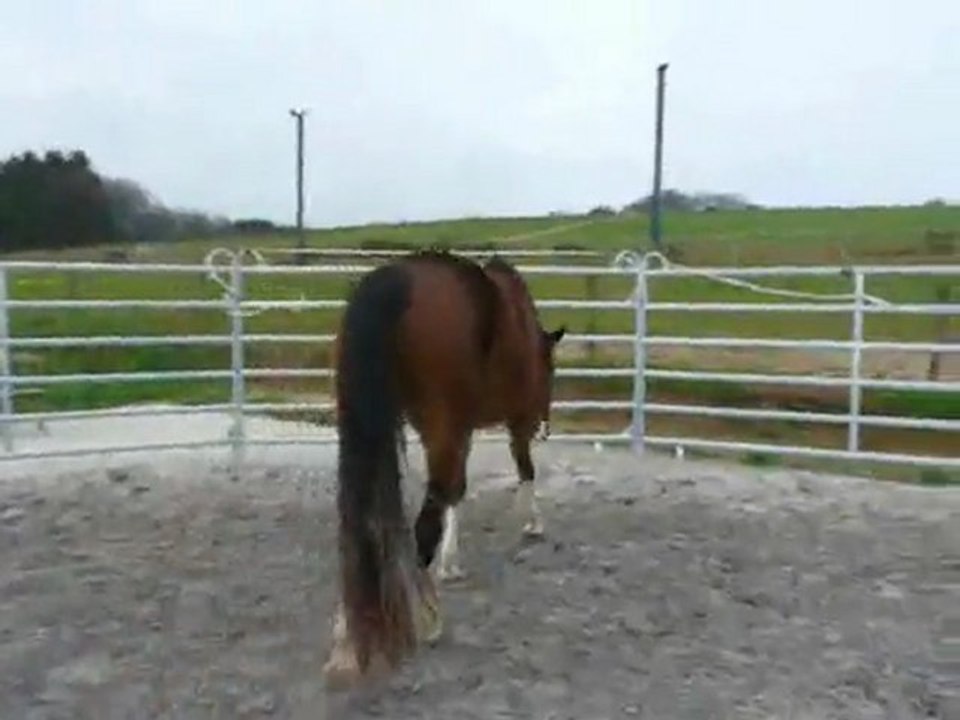 voltee rond