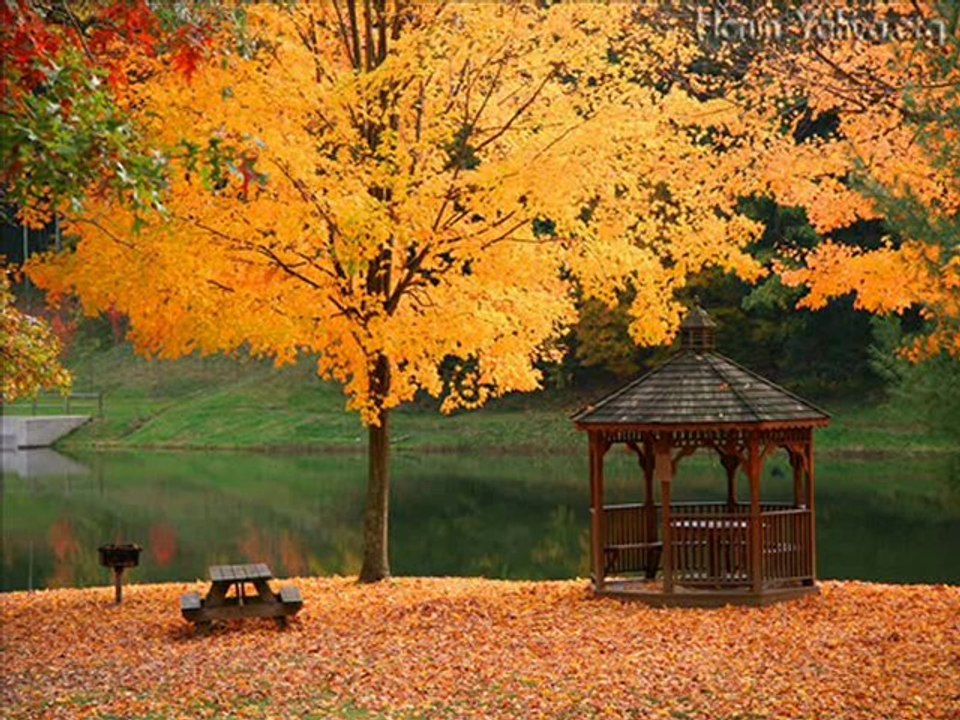 MENEKŞE GÖZLER HÜLYALI