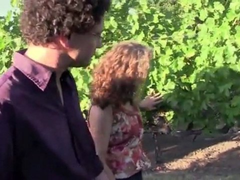 Merlot, top winemaker, Paul Colantuoni, Napa Valley, Rocca Family Vineyards