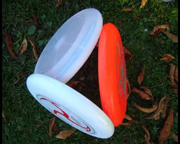 Frisbee Disc 2 rue