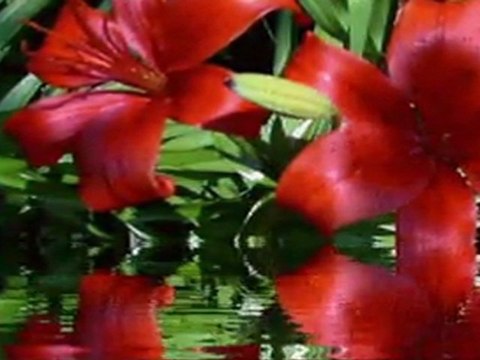 Coşkun Sabah*Aşığım Sana*