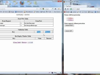 Transparent Web Application Bot Protection