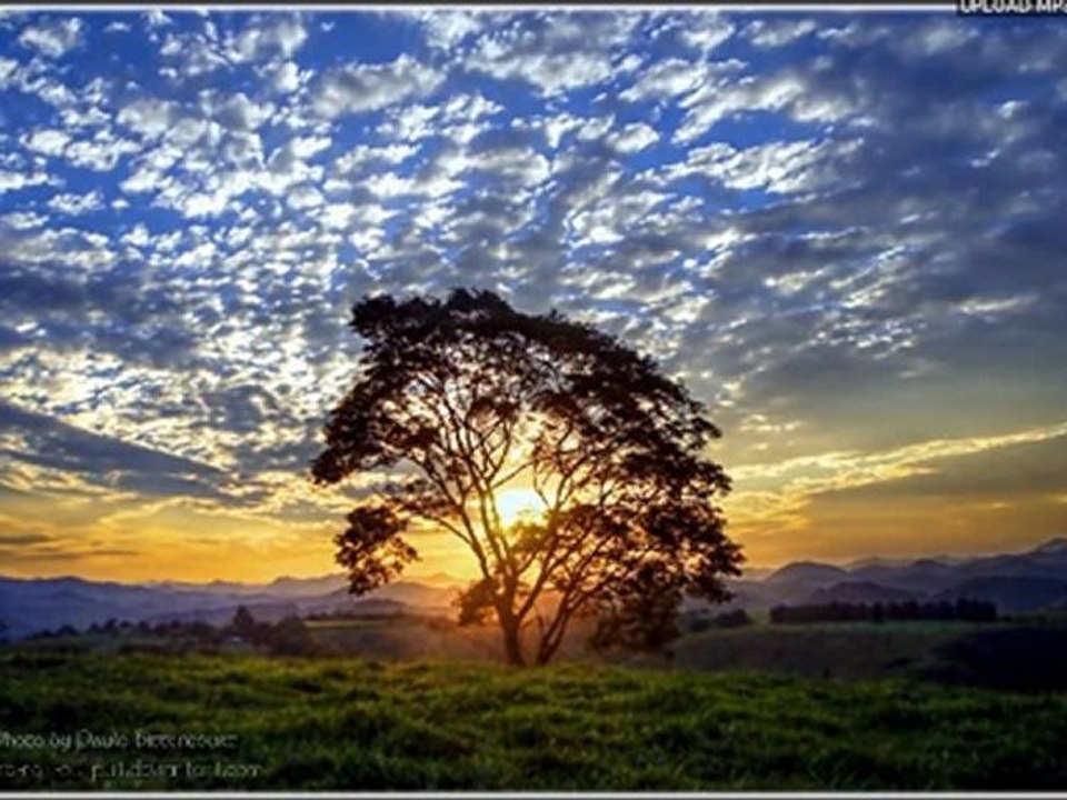 Fluke - Bubble (Braillebubble)