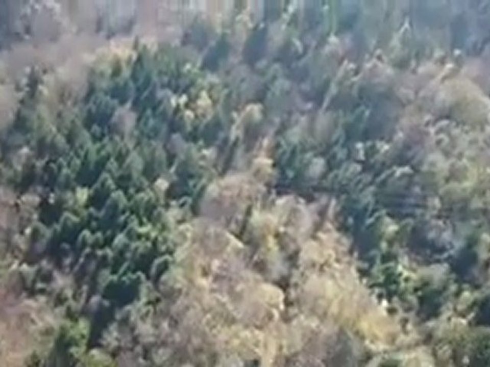 Casey Mahoney Wingsuit Flights