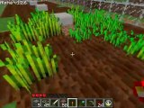 Automatic Cactus Farm In Minecraft