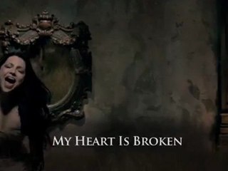 Evanescence - My Heart Is Broken (preview)