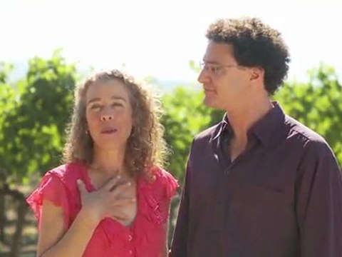 Wine making, shop for wines, small winery, Napa Valley