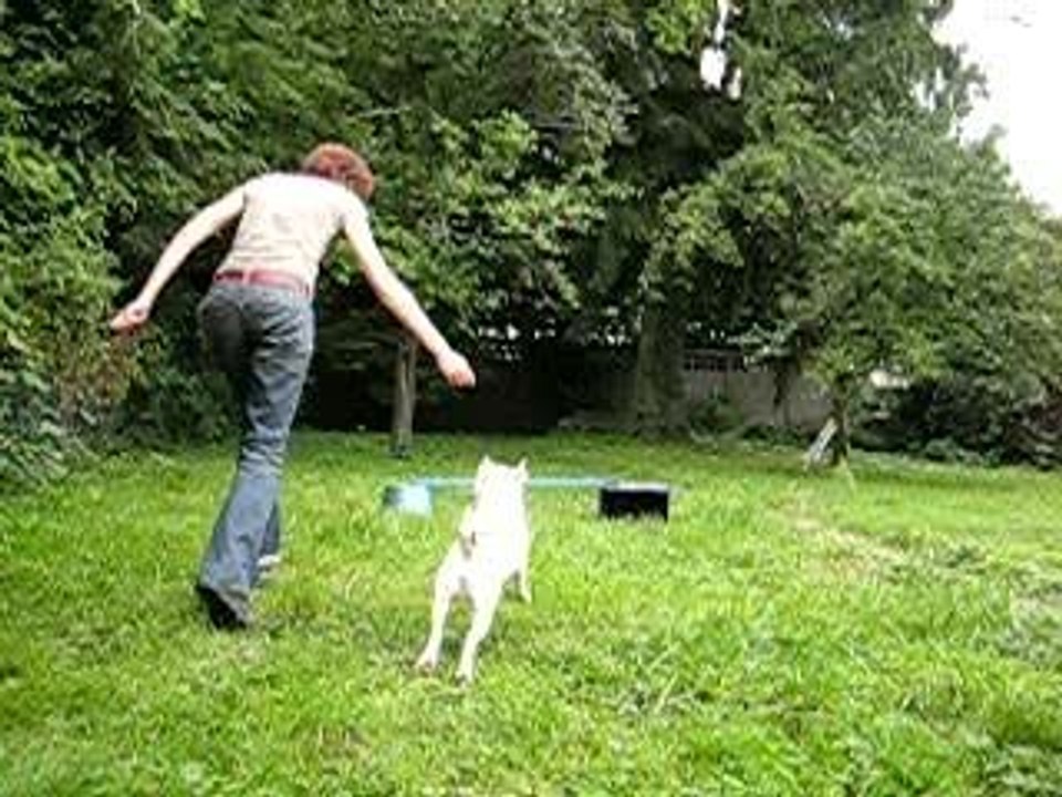 tentative d'agility