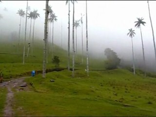 Cocora, Colombie