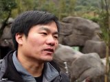 الصين تطلق مشروعا لمساعدة دببة الباندا على التكيف مع الطبيعة