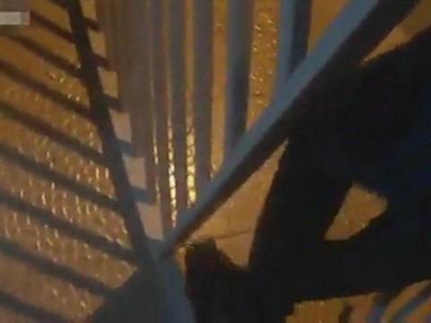 Il s'explose la main avec un pétard le jour de l'an