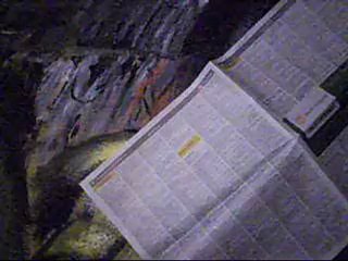 Beaux Arts Portfolio 🎨