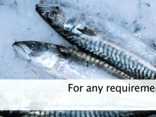 Refrigerator Auckland Fridge Freezer Hire