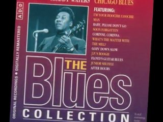 Chicago Blues Stomp By Sunny Rhoades