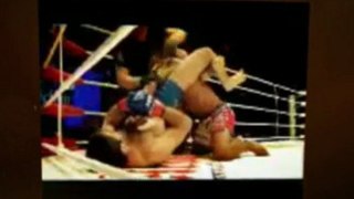 Live Stream - Borzoo Honargohar vs Javier Obregon at Texas - Element Fighting