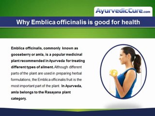 Amla Vitamin C Supplements By Ayurvedic Cure - Promotes Rejuvenation of Cells