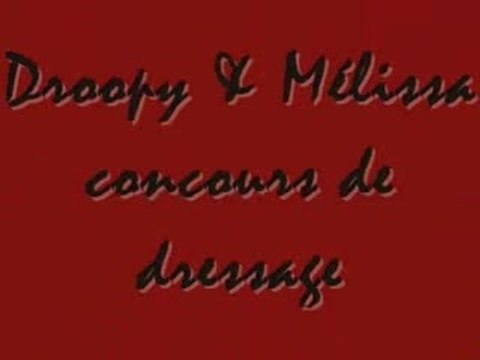 droopy&moi concours de dressages