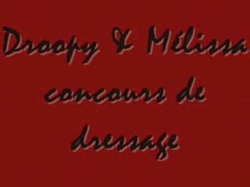 droopy&moi concours de dressages