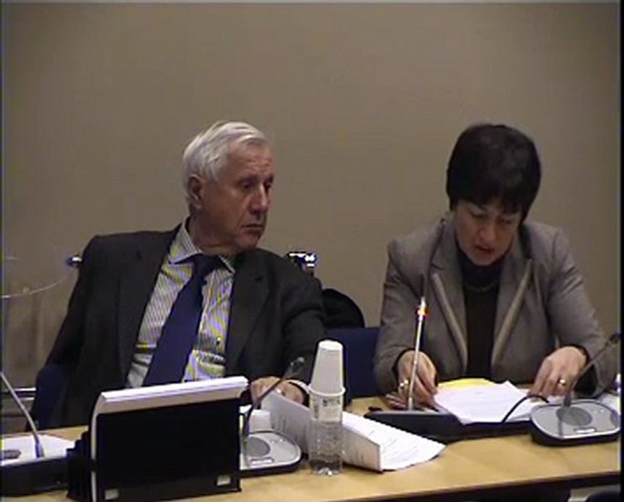 Com Aff Europ 10 janv 2012 Rapport Info Bâle (2)