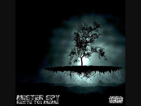 MISTER SPY- Reste toi meme