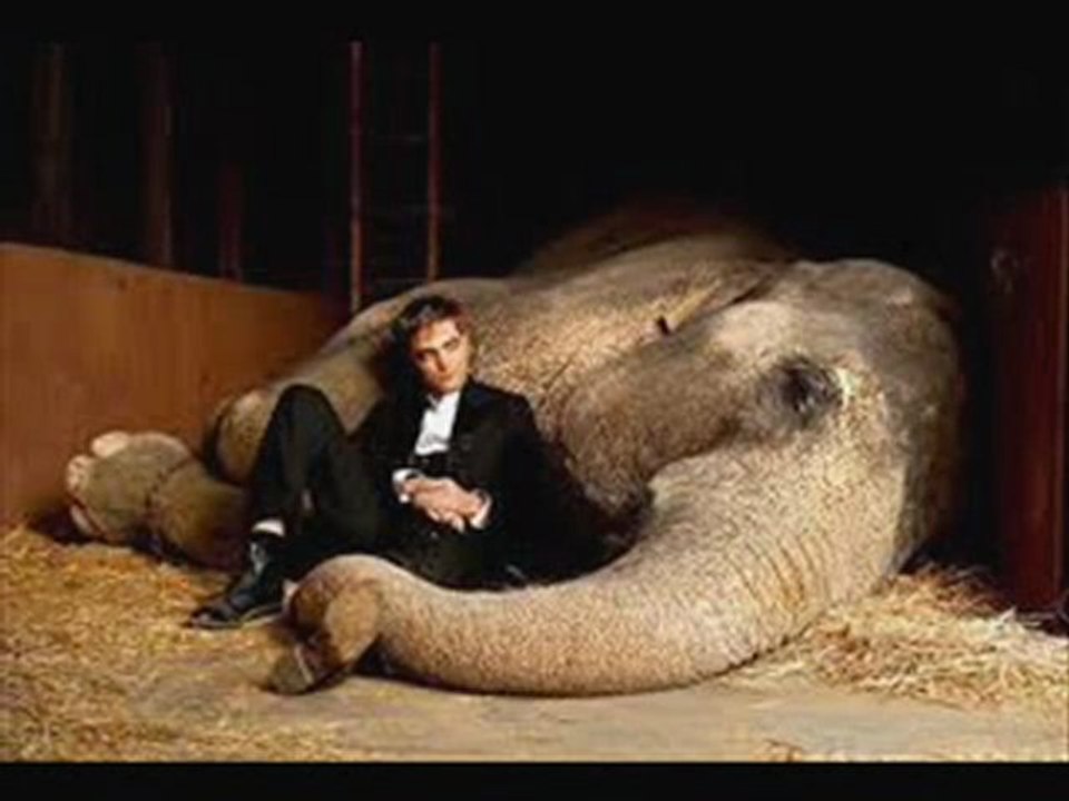 Water for Elephants HD Trailer Movie