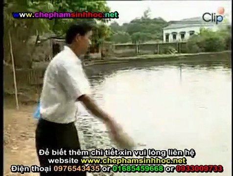 Tác dụng chế phẩm men vi sinh NN1 làm thịt vật nuôi ngon, chắc, vậy nuôi lớn nhanh giảm chi phí thức ăn